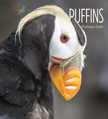 Puffins - Gish, Melissa