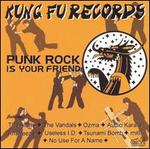 Punk Rock Is Your Friend