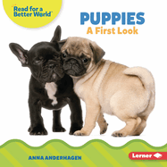 Puppies: A First Look