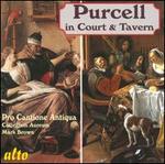 Purcell in the Court and Tavern