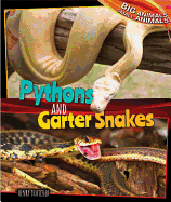 Pythons and Garter Snakes