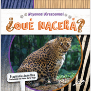 ?Qu? Nacer?: What Will Be Born?