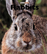 Rabbits - Sharth, Sharon