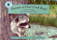 Raccoon at Clear Creek Road