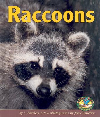 Raccoons - Kite, Patricia L, and Boucher, Jerry (Photographer)