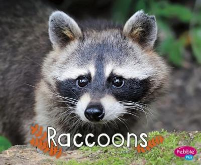 Raccoons - Lake, G G
