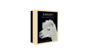 Radiant Notecards: Farm Animals Up Close (12 Notecards for Animal Lovers, Photographs of Llamas, Goats, Cows, Goats, Pigs, Peacocks and More, 12 Envelopes)