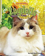 Ragdolls: Alien Cats