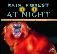 Rain Forest at Night