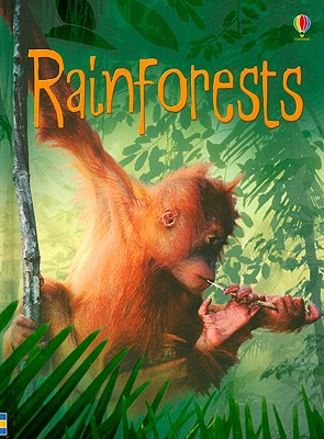 Rainforests - Beckett-Bowman, Lucy, and Meredith, Samantha (Designer)