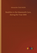 Rambles in the Mammoth Cave, during the Year 1844