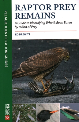 Raptor Prey Remains: A Guide to Identifying What's Been Eaten by a Bird of Prey - Drewitt, Ed