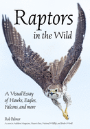 Raptors in the Wild: A Visual Essay of Hawks, Eagles, Falcons and More