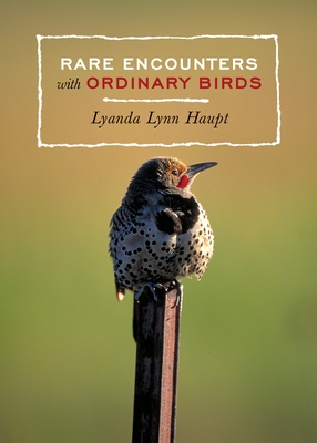 Rare Encounters with Ordinary Birds - Haupt, Lyanda Lynn