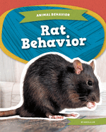 Rat Behavior