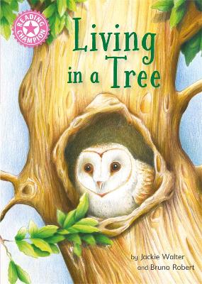 Reading Champion: Living in a Tree: Independent Reading Non-Fiction Pink 1a - Walter, Jackie