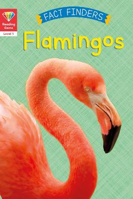 Reading Gems Fact Finders: Flamingos (Level 1) - Woolley, Katie