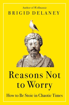 Reasons Not to Worry: How to Be Stoic in Chaotic Times - Delaney, Brigid