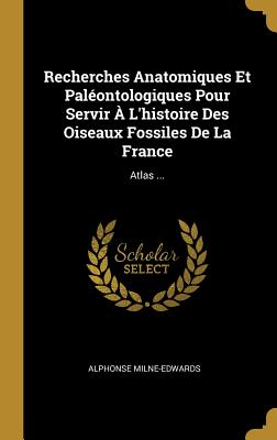 Recherches Anatomiques Et Pal?ontologiques Pour Servir ? l'Histoire Des Oiseaux Fossiles de la France: Atlas ... - Milne-Edwards, Alphonse