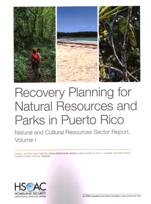 Recovery Planning for Natural Resources and Parks in Puerto Rico: Natural and Cultural Resources Sector Report - Resetar, Susan A, and Tingstad, Abbie, and Mendelsohn, Joshua