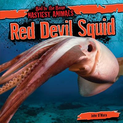 Red Devil Squid - O'Mara, John