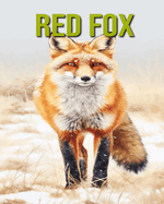 Red Fox: Fun and Educational Book for Kids with Amazing Facts and Pictures
