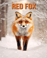 Red Fox: Fun Facts Book for Kids with Amazing Photos