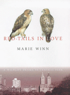 Red-tails in Love: A Wildlife Drama in Central Park