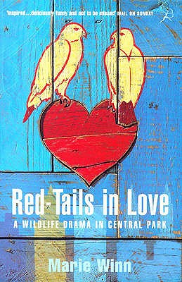 Red-tails in Love: A Wildlife Drama in Central Park - Winn, Marie