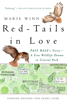 Red-Tails in Love: PALE MALE'S STORY--A True Wildlife Drama in Central Park - Winn, Marie