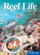 Reef Life - Ferrari, Andrea, and Ferrari, Antonella, and Eklund, Linda (Translated by)