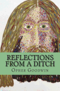 Reflections from a ditch - Goodwin, Opher