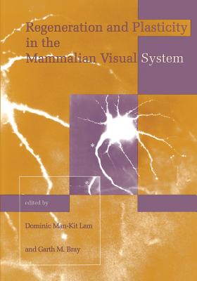 Regeneration and Plasticity in the Mammalian Visual System: Proceedings of the Retina Research Foundation Symposia - Lam, Dominic Man (Editor), and Bray, Garth M (Editor)