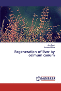 Regeneration of liver by ocimum canum