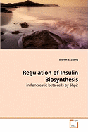 Regulation of Insulin Biosynthesis