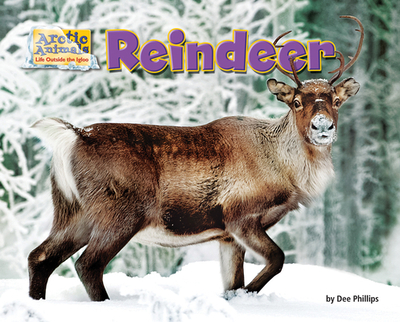Reindeer - Phillips, Dee
