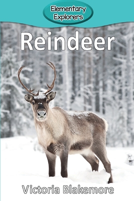 Reindeer - Blakemore, Victoria