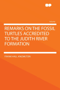 Remarks on the Fossil Turtles Accredited to the Judith River Formation