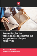 Remedia??o da toxicidade do cdmio no sorgo assistida por micorriza