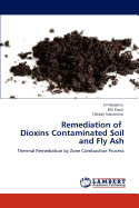 Remediation of Dioxins Contaminated Soil and Fly Ash