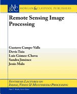 Remote Sensing Image Processing