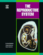 Reproductive System - Silverstein, Alvin, Dr., and Silverstein, Robert, and Silverstein, Virginia, Dr.