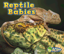 Reptile Babies