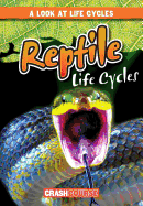 Reptile Life Cycles