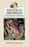 Reptiles & Amphibians of the Eastern Caribbean