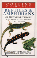 Reptiles and Amphibians of Britain & Europe