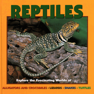 Reptiles: Explore the Fascinating Worlds Of...Alligators and Crocodiles, Lizards, Snakes, Turtles