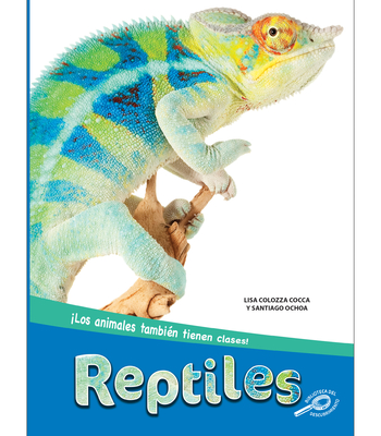 Reptiles: Reptiles - Cocca