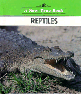 Reptiles