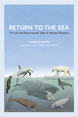 Return to the Sea: The Life and Evolutionary Times of Marine Mammals - Berta, Annalisa